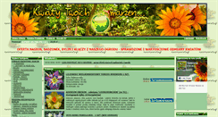 Desktop Screenshot of nasionaswiata.pl